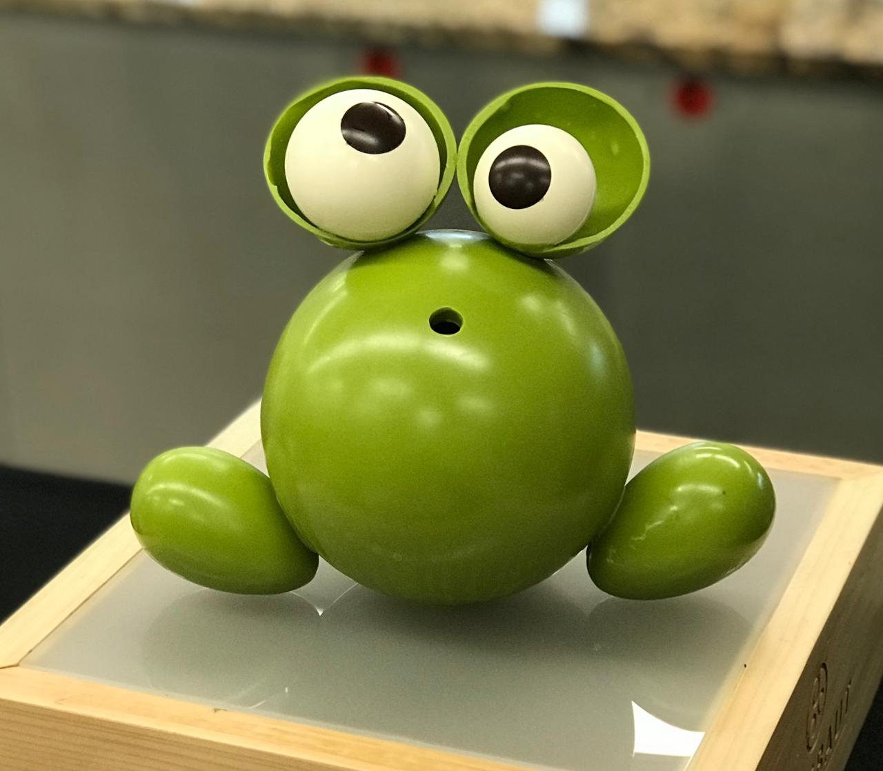 Mr frog